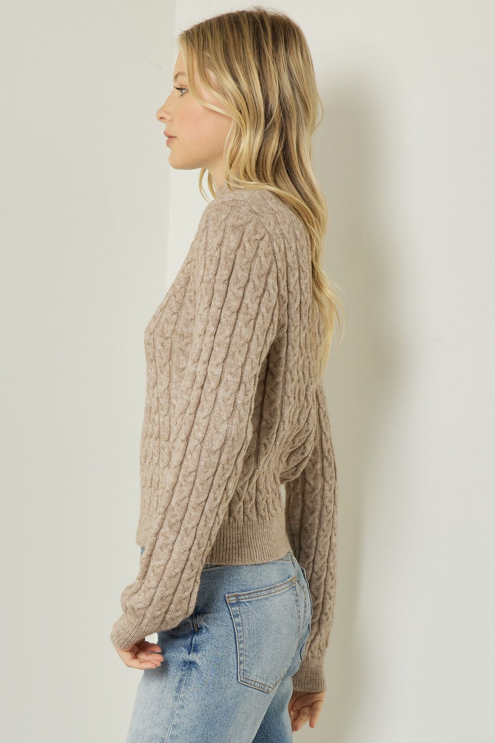 Cable Knit Turtle Neck